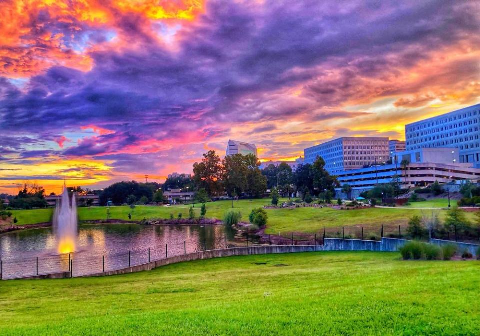 Top 15 Trails, Parks, and Gardens in Greater Tallahassee