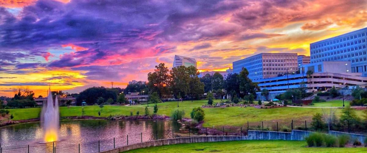 Top 15 Trails, Parks, and Gardens in Greater Tallahassee